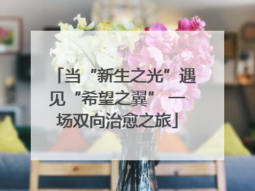 当“新生之光”遇见“希望之翼” 一场双向治愈之旅